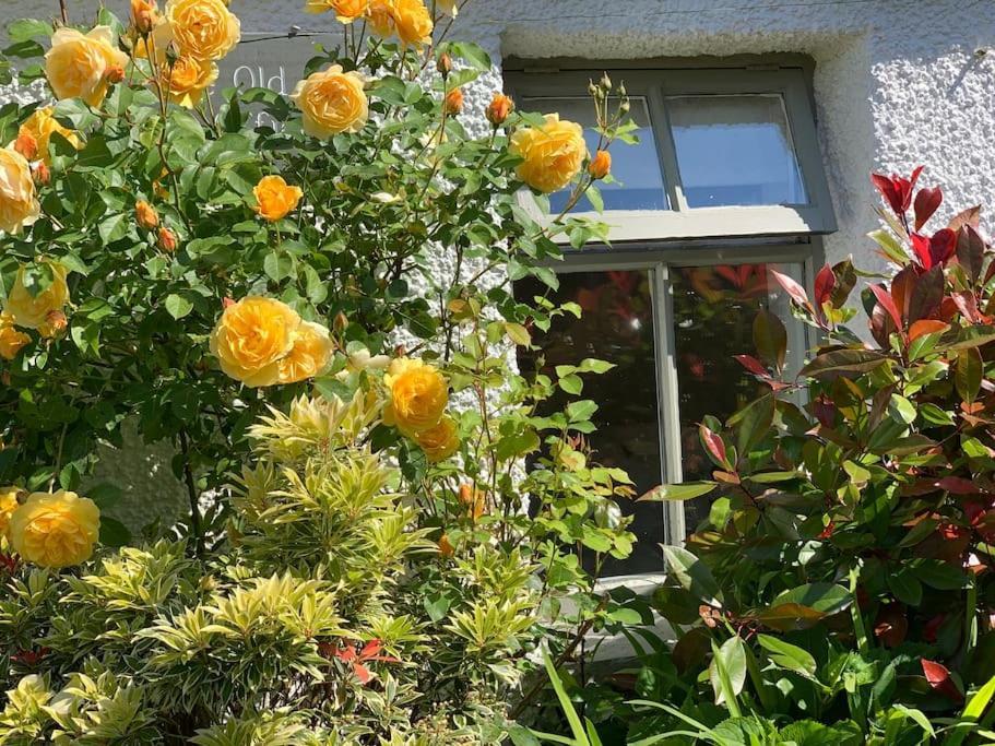 The Old Post Office, Cosy Grade II Listed 2 Bed Apartment Windermere Exterior photo